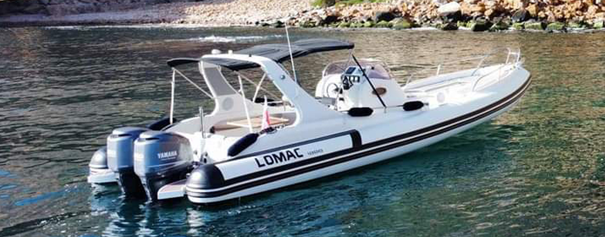 LOMAC 1000
